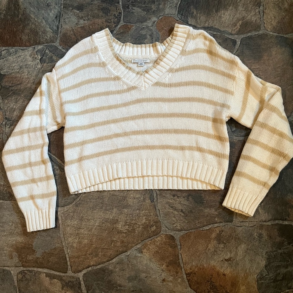 American Eagle Cropped Sweater